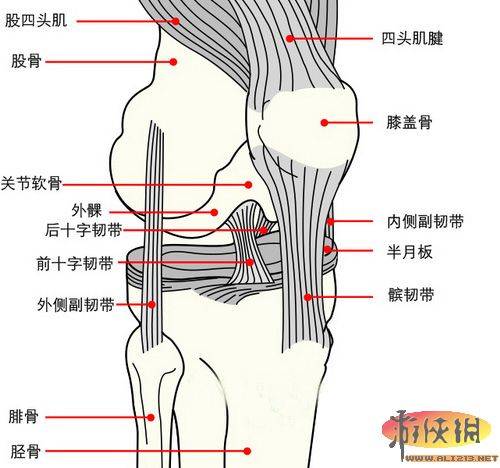 上古卷軸5