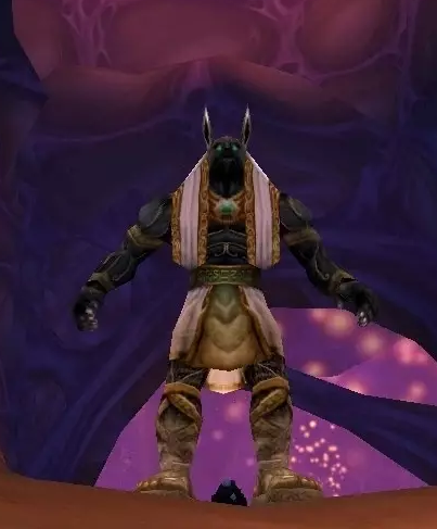 《魔獸世界》懷舊服阿努比薩斯防禦者掉落物品一覽