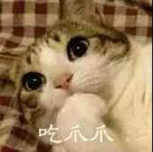 夢幻西遊三維版