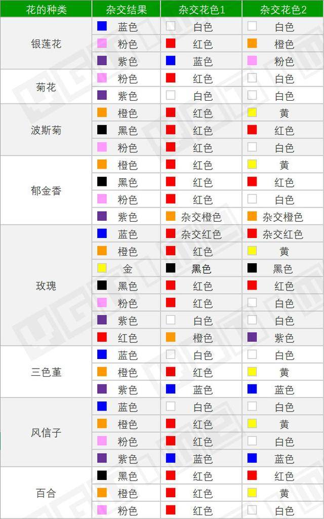 《集合啦！動物森友會》攻略：花卉雜交表